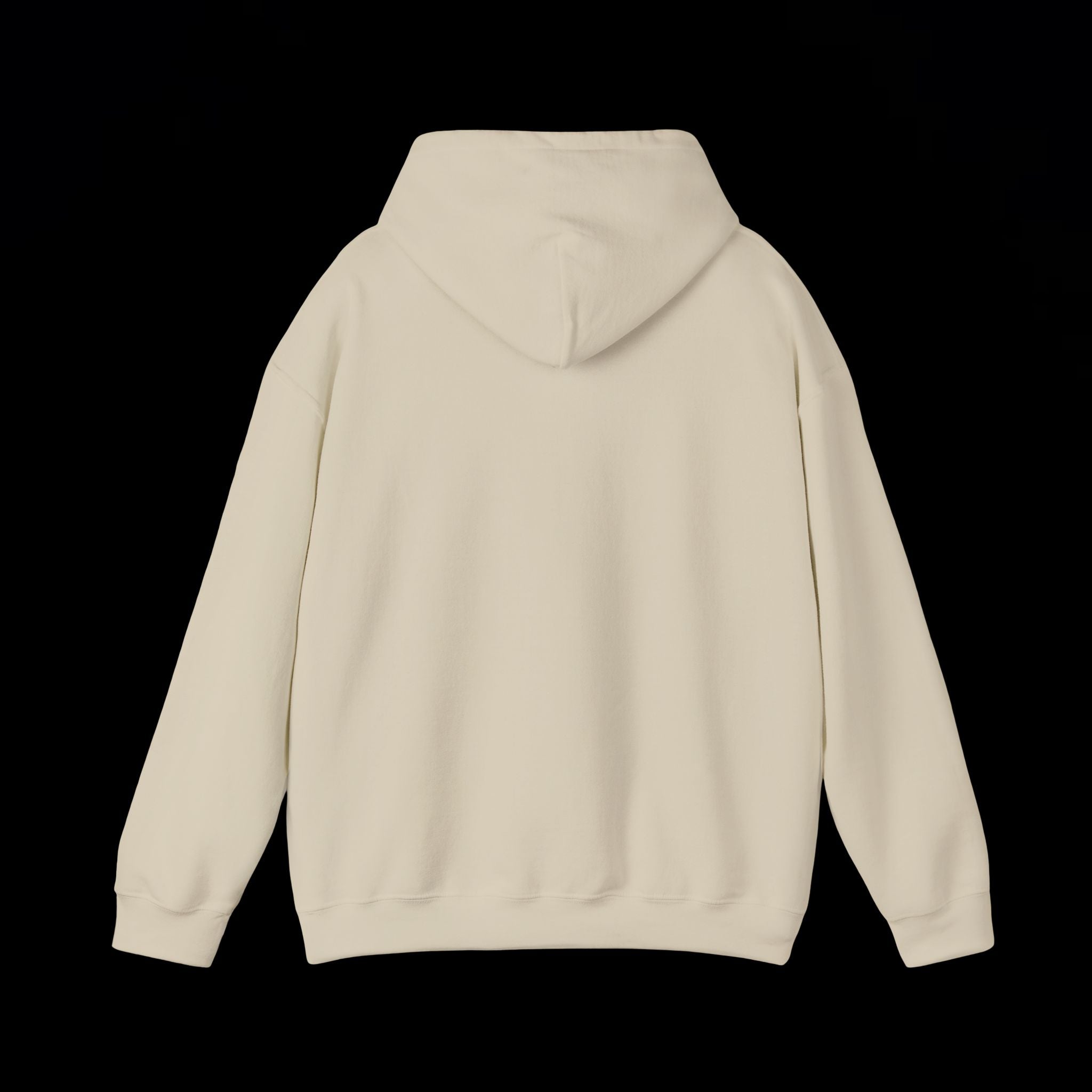 INFIDEL HOODIE