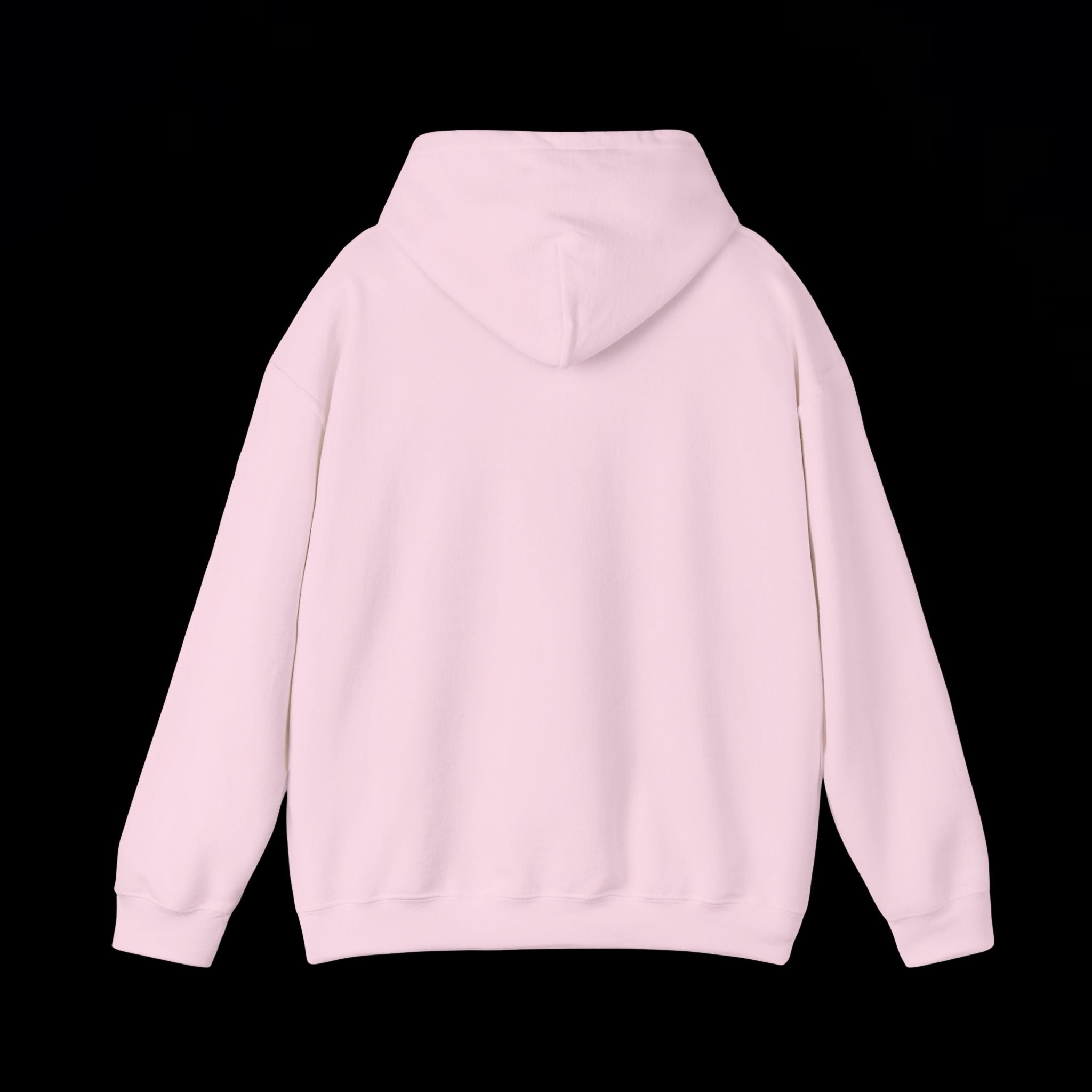 INFIDEL HOODIE
