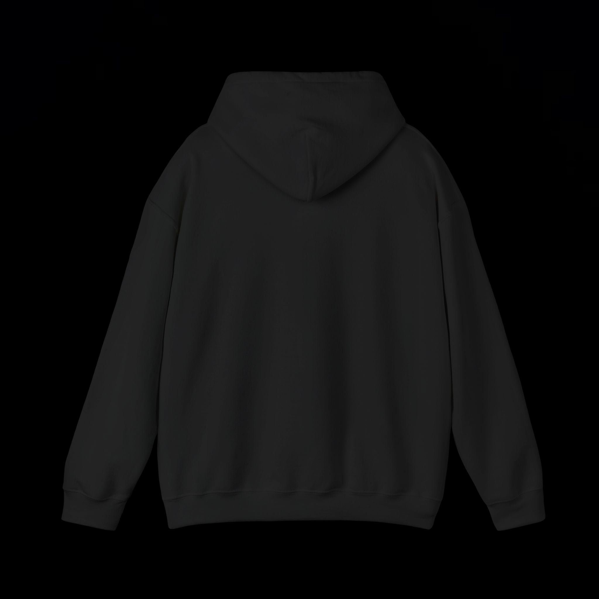 INFIDEL HOODIE